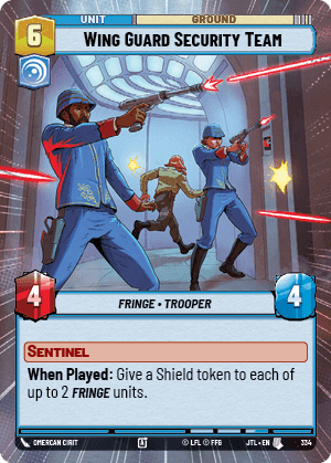 Wing Guard Security Team